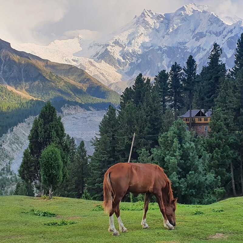 Nanga Parbat, Fairy Meadows